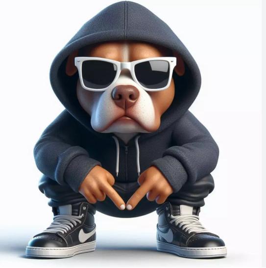 Dog urban street hip hop xxl 50 cm (19 parts)