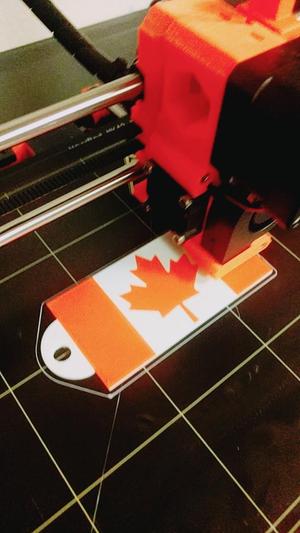 Baggage Tag - Canada