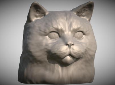 Ragdoll cat head for 3D printing