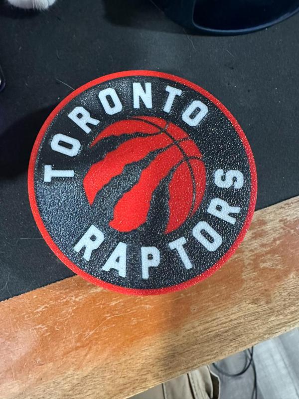 Toronto Raptors Coaster