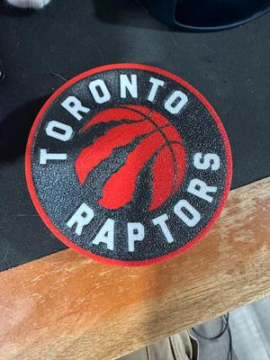 Toronto Raptors Coaster