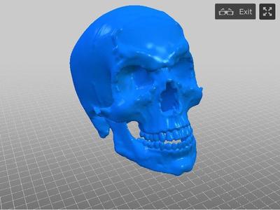 Veiny Angry Skull