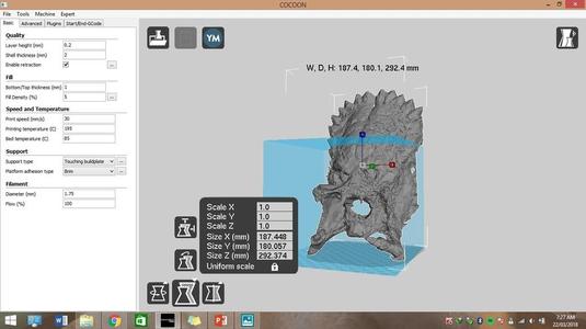 Predator Wolf Face Mask