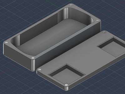 Rog ally case