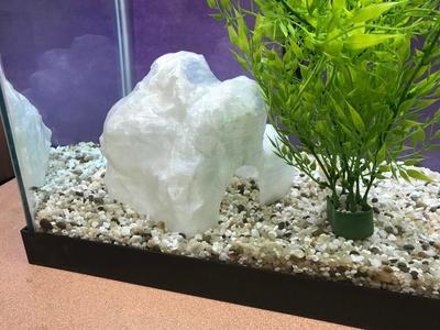 Aquarium Hideout Rock