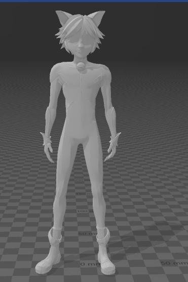 Cat Noir - Miraculous Lady Bug