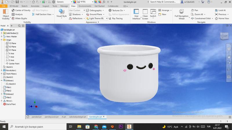 cute pot planter succulent