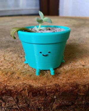 pot cute extended version succulent planter