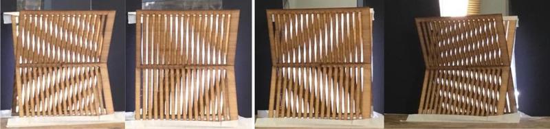 Inogon style Moire pattern 