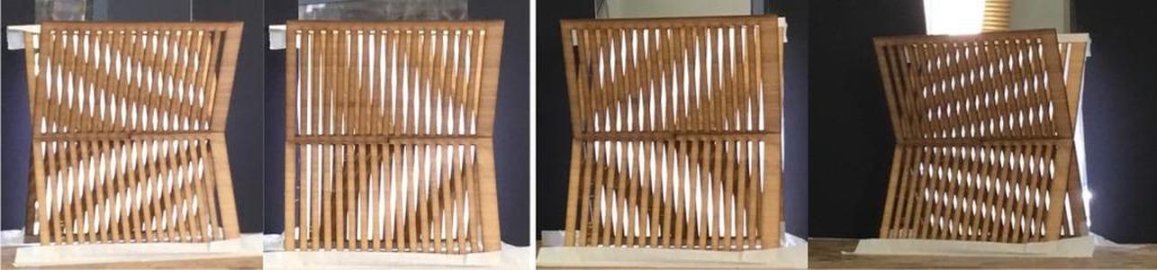 Inogon style Moire pattern 