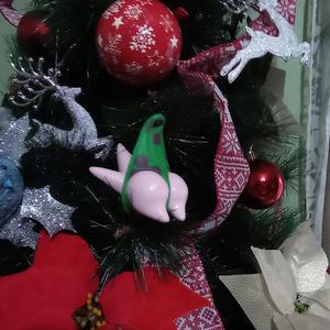 Patrick Christmas Star