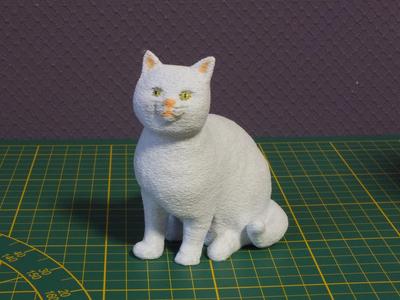 Sitting Cat - no support needed