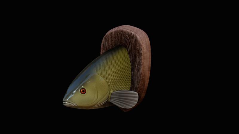 fish common tench / tinca tinca head trophy woodbase statue detailed texture for 3d printing