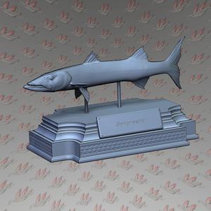 BARRACUDA