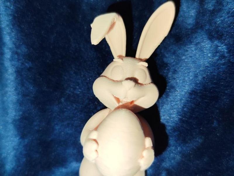Hoppel found an egg part