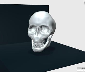 Another Skull