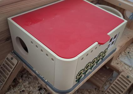 Dwarf hamster house