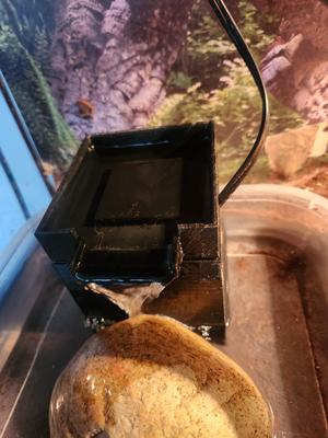 Pet water filter