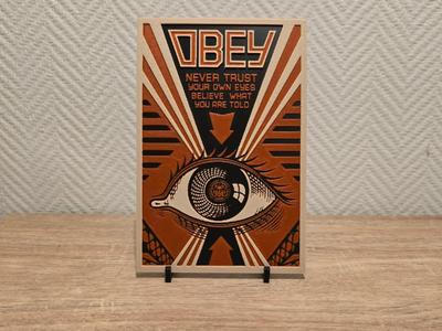 Never trust Obey street art 
