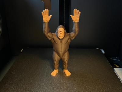 Sasquatch - Don't Shoot
