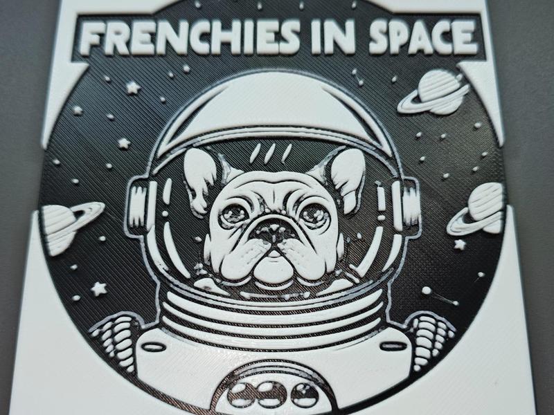 Frenchies In Space