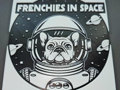 Frenchies In Space