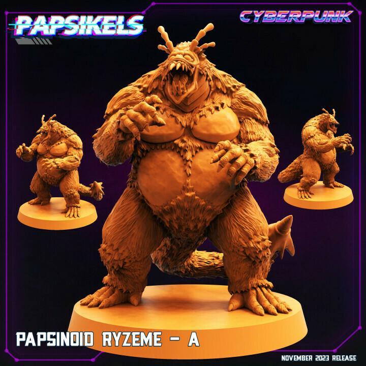 PAPSINOID RYZEME - A