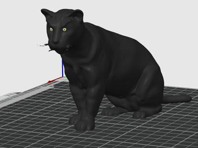 BLACK PANTER