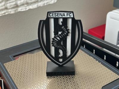 Cesena Calcio FC Championship Stand