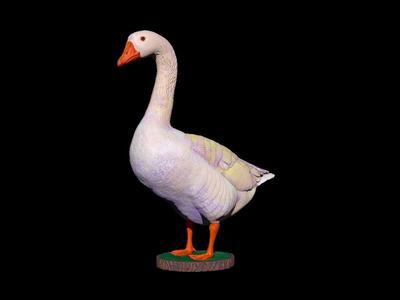 Goose