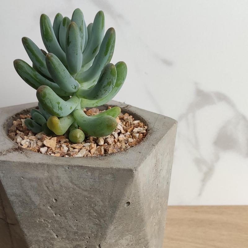 EASY CONCRETE FLOWER POT MOLD - "TAFÍ"