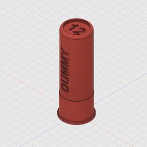 Cal12 Dummy Round