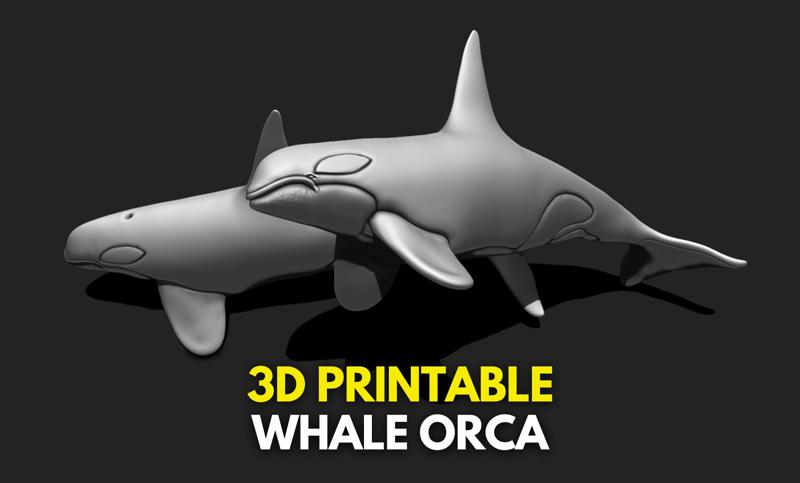 Whale Orca - Sea Life - 3D STL File for 3D Printing