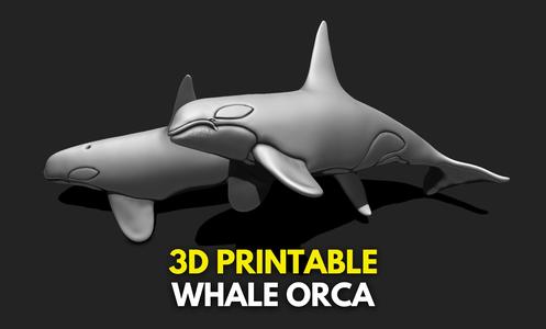 Whale Orca - Sea Life - 3D STL File for 3D Printing