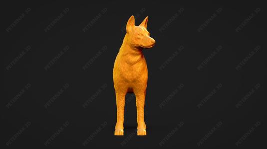 Basenji Dog 3D Print Model Pose 02