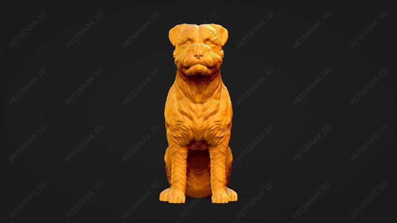 Border Terrier Dog 3D Print Model Pose 04