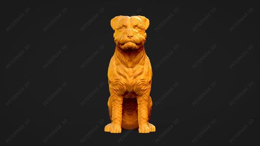 Border Terrier Dog 3D Print Model Pose 04