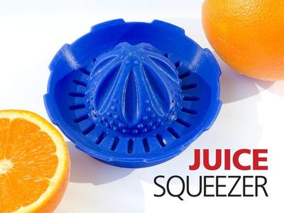 Juicer Squeezer
