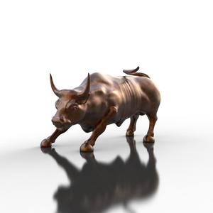CHARGING BULL