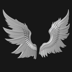 wings