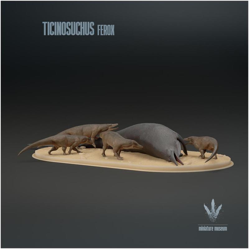 Ticinosuchus ferox  : Feeding