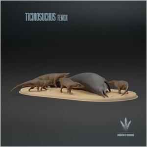 Ticinosuchus ferox  : Feeding