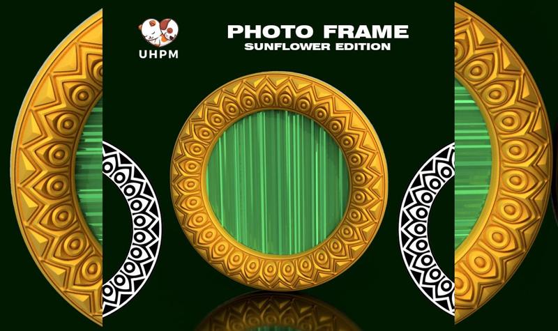 Photo Frame or Mirror - Sunflower Edition I