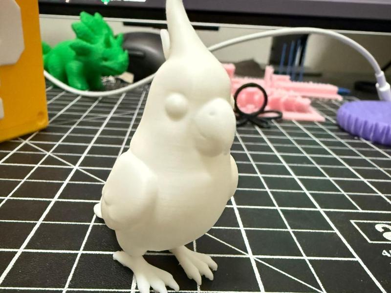 parrot 