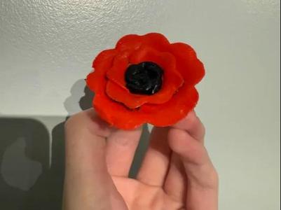 poppy woggle