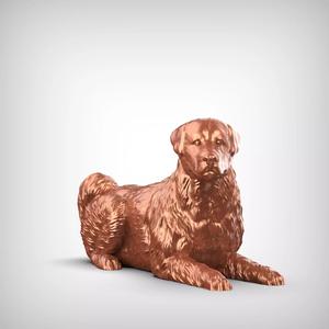 Anatolian Shepherd Dog 3D Print Model Pose 09