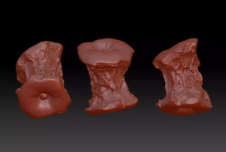 3D printing of apple core can be used for commercial use