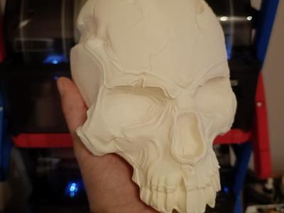 Part of the skull