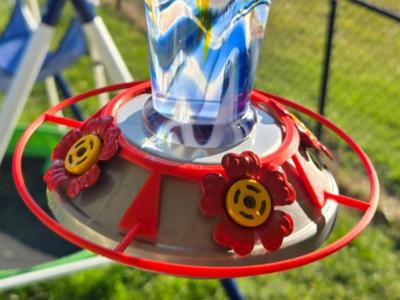 Hummingbird Feeder Perch