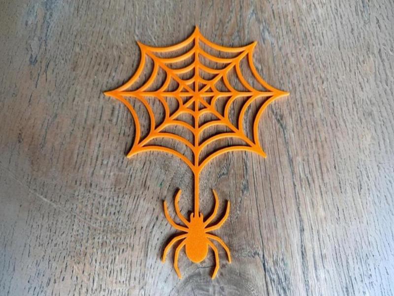 Spider web silhouette